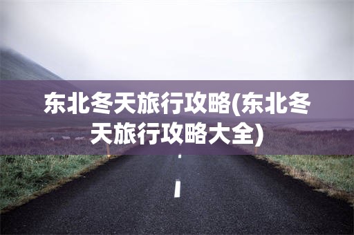东北冬天旅行攻略(东北冬天旅行攻略大全)