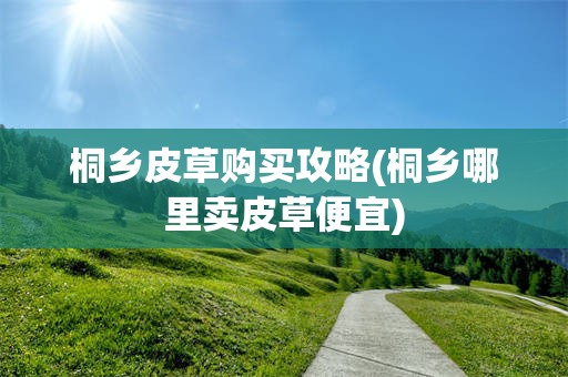 桐乡皮草购买攻略(桐乡哪里卖皮草便宜) 桐乡皮草购买攻略(桐乡哪里卖皮草便宜)