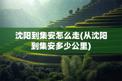 沈阳到集安怎么走(从沈阳到集安多少公里)
