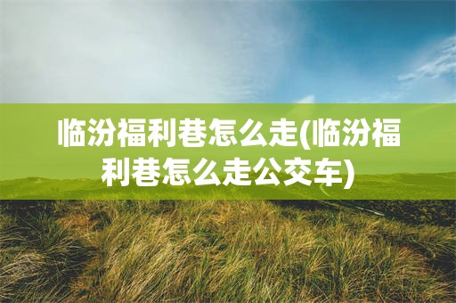临汾福利巷怎么走(临汾福利巷怎么走公交车)
