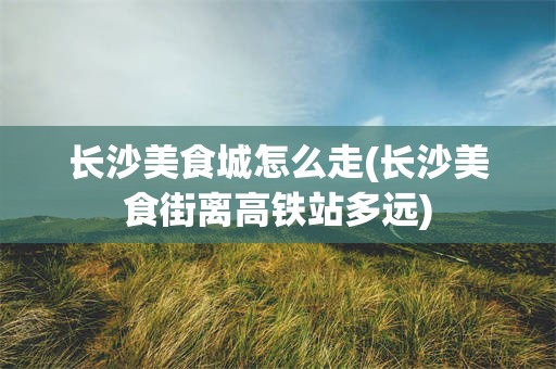 长沙美食城怎么走(长沙美食街离高铁站多远)