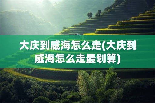 大庆到威海怎么走(大庆到威海怎么走最划算)