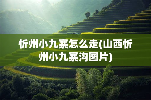 忻州小九寨怎么走(山西忻州小九寨沟图片)