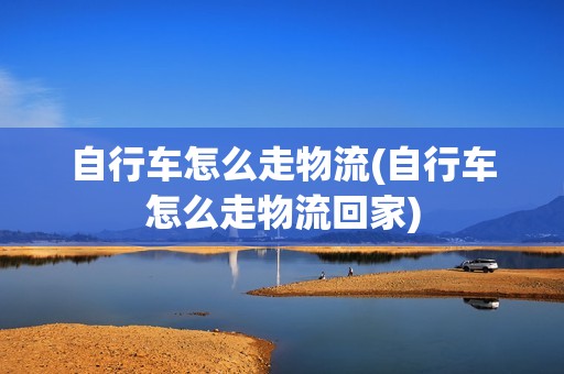 自行车怎么走物流(自行车怎么走物流回家)