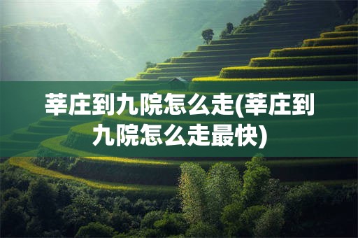 莘庄到九院怎么走(莘庄到九院怎么走最快)