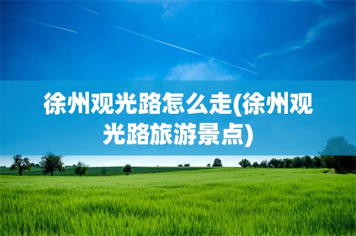 徐州观光路怎么走(徐州观光路旅游景点)
