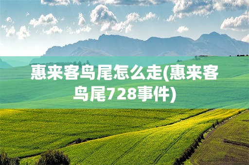 惠来客鸟尾怎么走(惠来客鸟尾728事件)