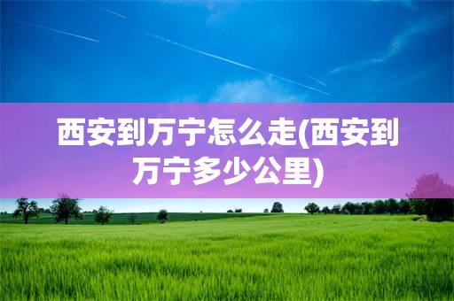 西安到万宁怎么走(西安到万宁多少公里)