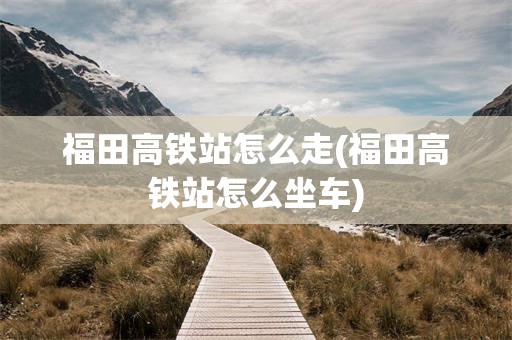 福田高铁站怎么走(福田高铁站怎么坐车)