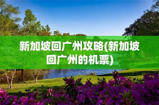 新加坡回广州攻略(新加坡回广州的机票)