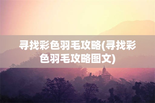 寻找彩色羽毛攻略(寻找彩色羽毛攻略图文)