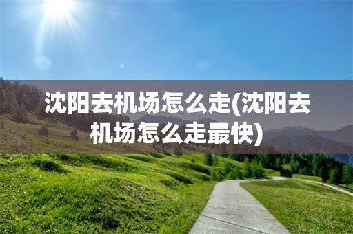 沈阳去机场怎么走(沈阳去机场怎么走最快)