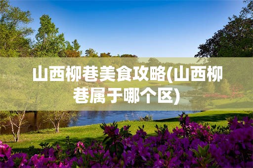 山西柳巷美食攻略(山西柳巷属于哪个区)