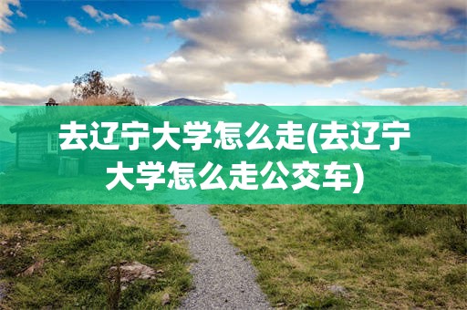 去辽宁大学怎么走(去辽宁大学怎么走公交车)