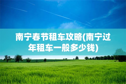 南宁春节租车攻略(南宁过年租车一般多少钱)