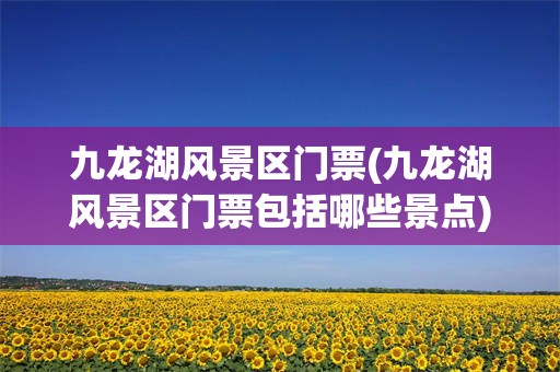 九龙湖风景区门票(九龙湖风景区门票包括哪些景点)