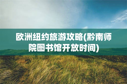 欧洲纽约旅游攻略(黔南师院图书馆开放时间)