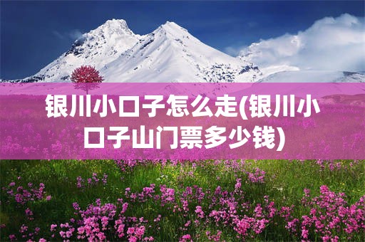 银川小口子怎么走(银川小口子山门票多少钱)