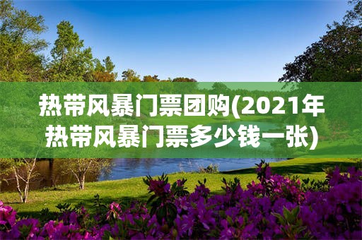 热带风暴门票团购(2021年热带风暴门票多少钱一张)