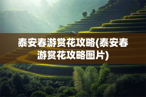 泰安春游赏花攻略(泰安春游赏花攻略图片)