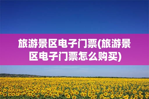 旅游景区电子门票(旅游景区电子门票怎么购买)