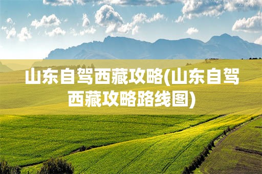 山东自驾西藏攻略(山东自驾西藏攻略路线图)