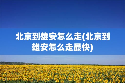 北京到雄安怎么走(北京到雄安怎么走最快)