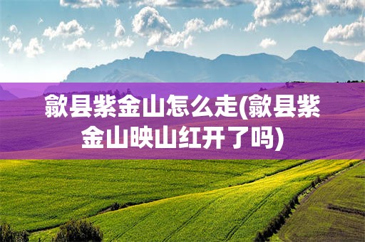 歙县紫金山怎么走(歙县紫金山映山红开了吗)