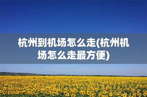 杭州到机场怎么走(杭州机场怎么走最方便)