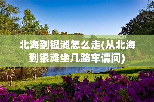 北海到银滩怎么走(从北海到银滩坐几路车请问)