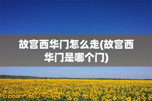 故宫西华门怎么走(故宫西华门是哪个门)