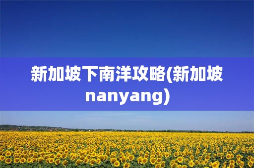 新加坡下南洋攻略(新加坡nanyang)