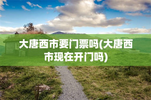 大唐西市要门票吗(大唐西市现在开门吗)