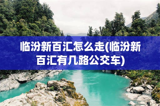临汾新百汇怎么走(临汾新百汇有几路公交车)