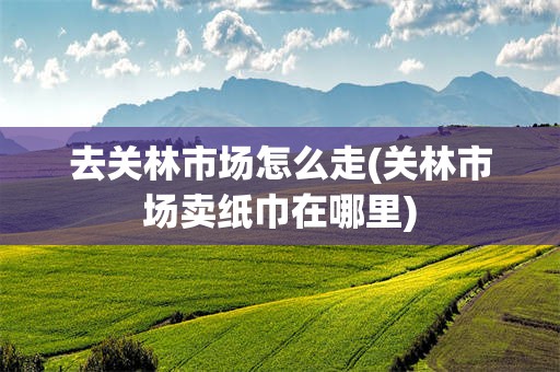 去关林市场怎么走(关林市场卖纸巾在哪里)