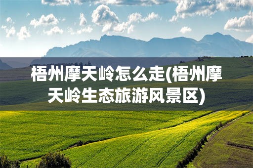 梧州摩天岭怎么走(梧州摩天岭生态旅游风景区)