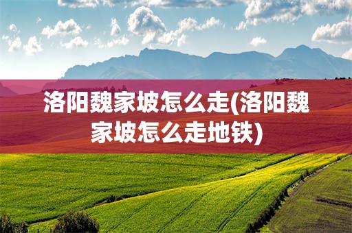 洛阳魏家坡怎么走(洛阳魏家坡怎么走地铁)