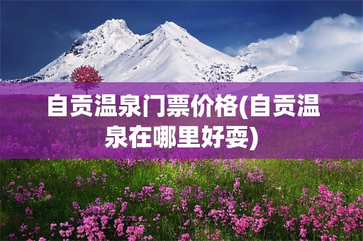自贡温泉门票价格(自贡温泉在哪里好耍)