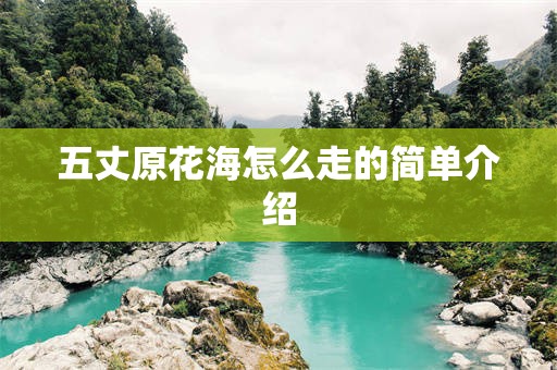 五丈原花海怎么走的简单介绍
