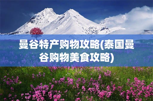 曼谷特产购物攻略(泰国曼谷购物美食攻略)