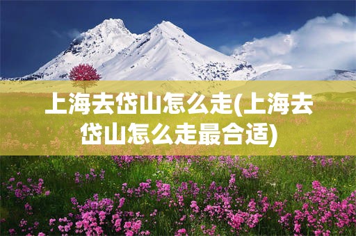 上海去岱山怎么走(上海去岱山怎么走最合适)