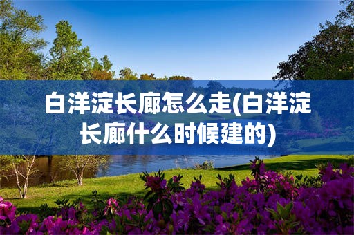 白洋淀长廊怎么走(白洋淀长廊什么时候建的)