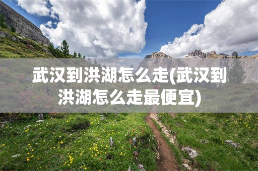武汉到洪湖怎么走(武汉到洪湖怎么走最便宜)