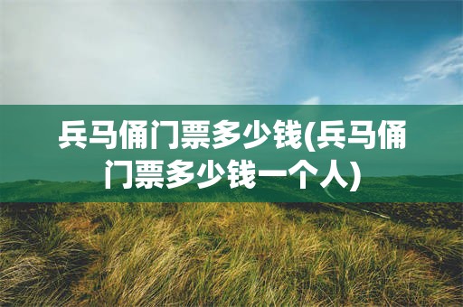 兵马俑门票多少钱(兵马俑门票多少钱一个人)