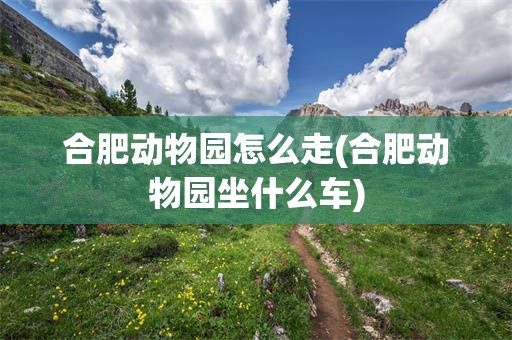 合肥动物园怎么走(合肥动物园坐什么车)