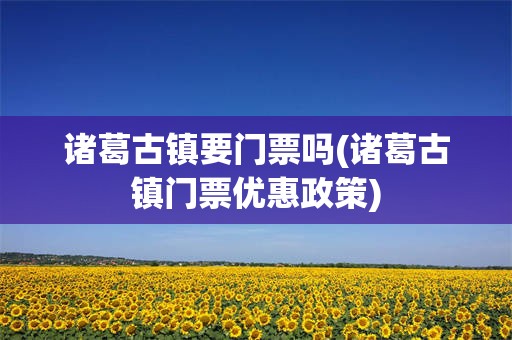 诸葛古镇要门票吗(诸葛古镇门票优惠政策)