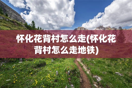怀化花背村怎么走(怀化花背村怎么走地铁)