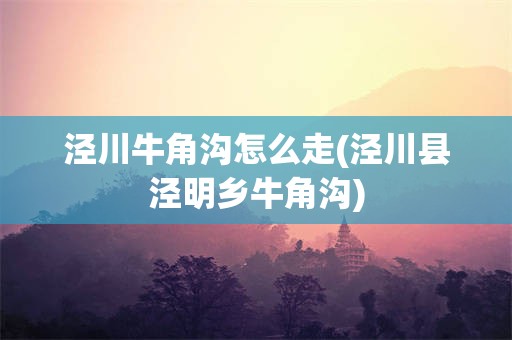 泾川牛角沟怎么走(泾川县泾明乡牛角沟)