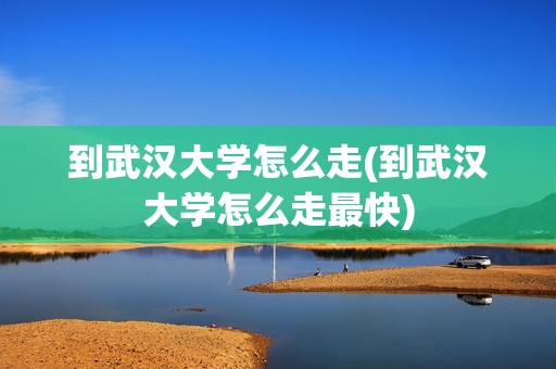 到武汉大学怎么走(到武汉大学怎么走最快)
