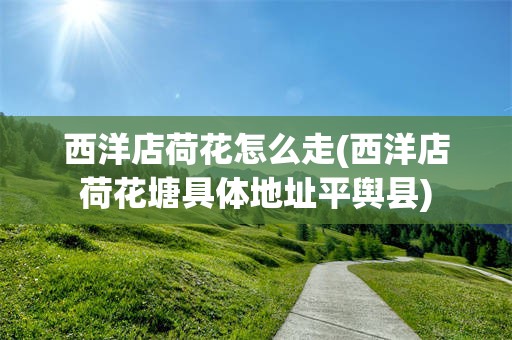 西洋店荷花怎么走(西洋店荷花塘具体地址平舆县)